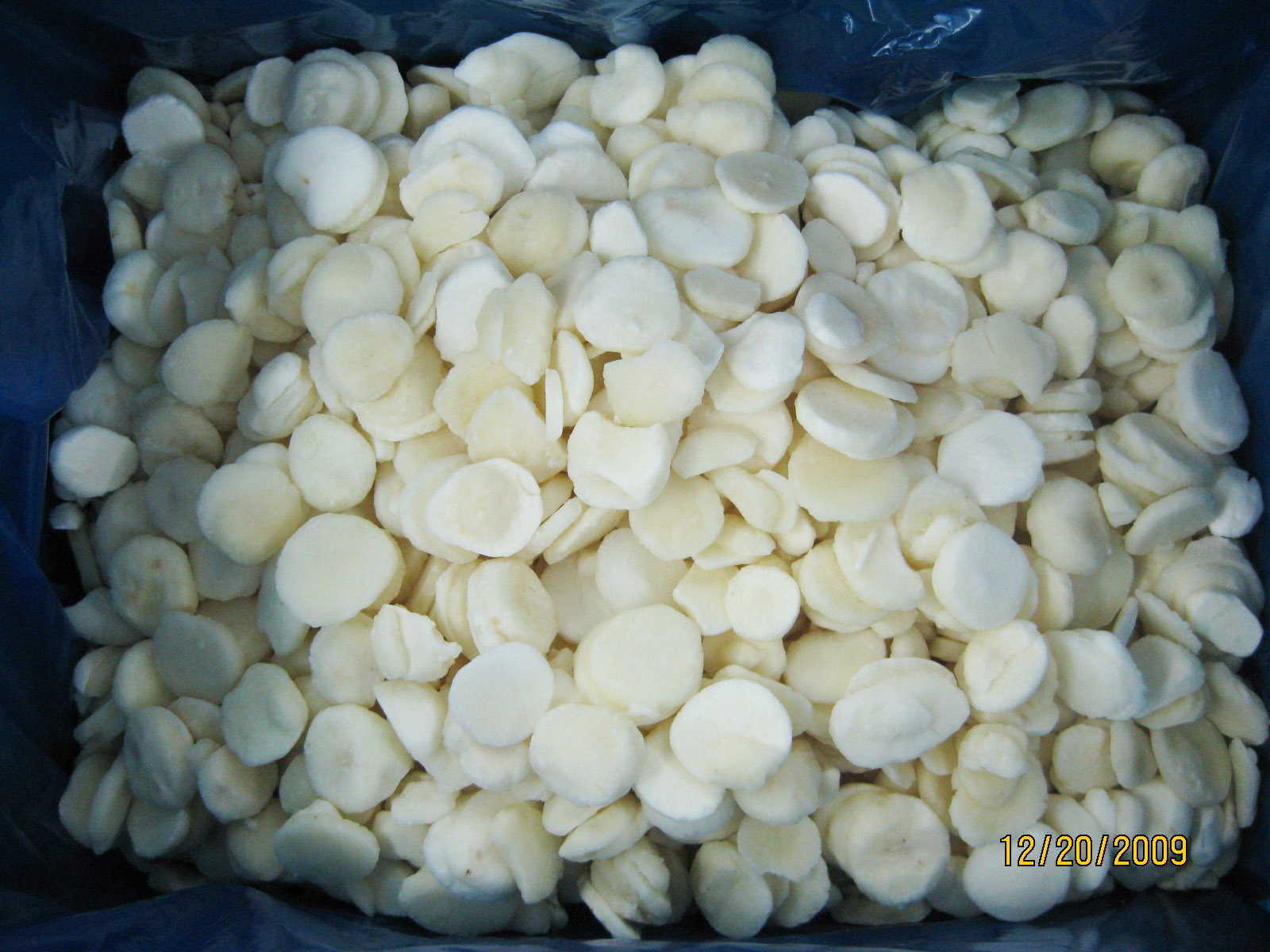 IQF Sliced Water Chestnut